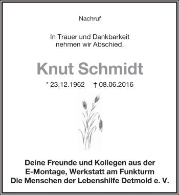 Anzeige  Knut Schmidt  Lippische Landes-Zeitung