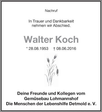Anzeige  Walter Koch  Lippische Landes-Zeitung