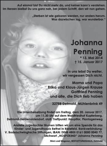 Anzeige  Johann Penning  Lippische Landes-Zeitung