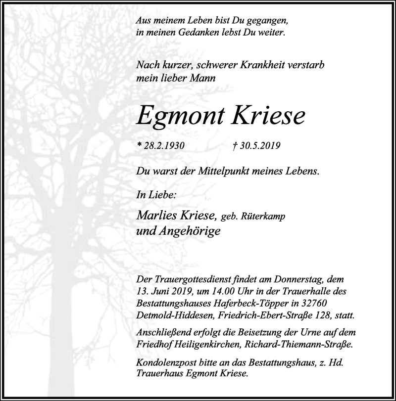  Traueranzeige für Egmont Kriese vom 08.06.2019 aus Lippische Landes-Zeitung