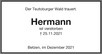 Anzeige  Hermann   Lippische Landes-Zeitung