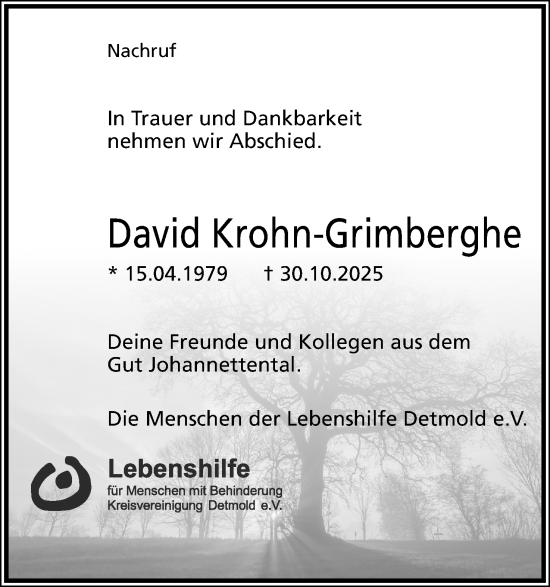 Anzeige  David Krohn-Grimberghe  Lippische Landes-Zeitung