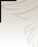 Profilbild Gati Zeitschel